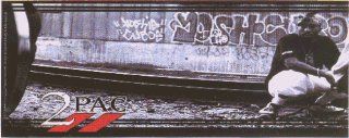 2Pac   Tupac Shakur Squatting by Graffitti Wall   Sticker / Decal: Automotive