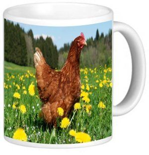 Rikki KnightTM Hen in Field of Yellow Flowers Design 11 oz Photo Quality Ceramic Coffee Mug Cup   FDA Approved   Dishwasher and Microwave Safe Kitchen & Dining