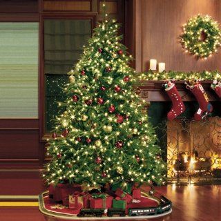 Pre Lit Frasier Grande Hinged Tree with Color Changing Technology   Christmas Trees