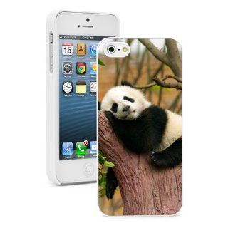 Apple iPhone 5 5S White 5W842 Hard Back Case Cover Color Sleeping Baby Panda in Tree Cell Phones & Accessories