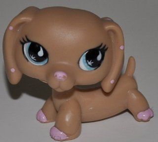 Dachshund #909 (Tan, Blue Eyes, Pink Paws/Deco)   Littlest Pet Shop (Retired) Collector Toy   LPS Collectible Replacement Figure   Loose (OOP Out of Package & Print) : Everything Else
