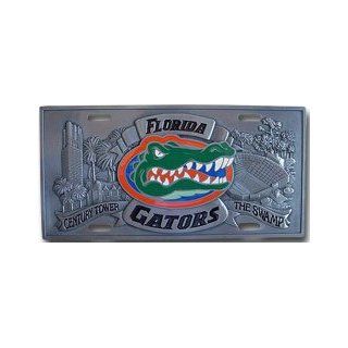 FLORIDA GATORS PEWTER CAR TAG/ LICENSE PLATE : Automotive License Plate Frames : Sports & Outdoors