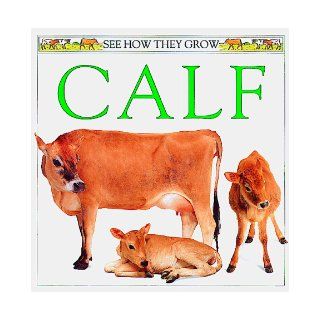 Calf (See How They Grow): Mary Ling: 9781564582058: Books