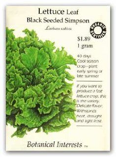 Lettuce Leaf Black Seeded Simpson Certified Organic Seed : Lettuce Plants : Patio, Lawn & Garden