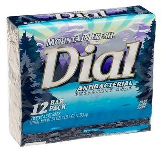 Dial Bar Soap 12 pack, Mountain Fresh, 4 Ounce Bars : Bath Soaps : Beauty