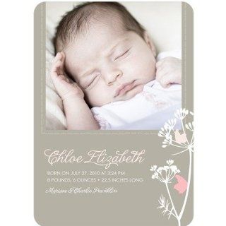 Birth Announcements   Butterfly Branch Girl Photo Birth Announcement: Health & Personal Care