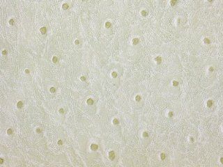 Vinyl Ostrich White Fake Leather 54 Inch Fabric By the Yard (F.E.): Everything Else
