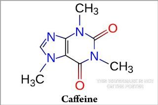 Caffeine Molecule Diagram   24"x36" Poster : Prints : Everything Else
