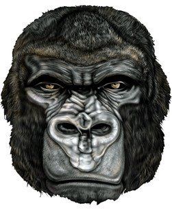2" Helmet Hardhat Printed gorilla head color airbrushed decal sticker for any smooth surface such as windows bumpers laptops or any smooth surface. 
