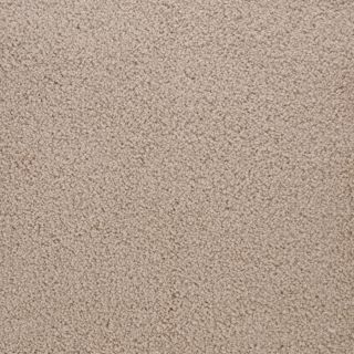 STAINMASTER Active Family Claris Wrap Textured Indoor Carpet
