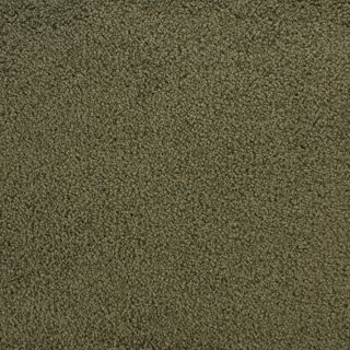 STAINMASTER Active Family Claris Dictate Textured Indoor Carpet