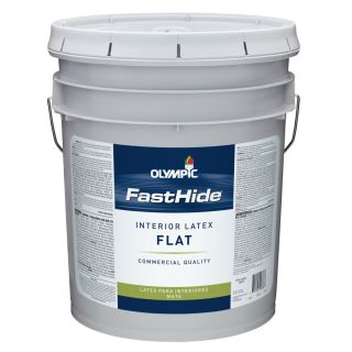 FastHide 5 Gallon Interior Flat Off White Latex Base Paint