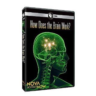 Nova Science Now: How Does the Brain Work: Hosted by Neil Degrasse Tyson, n/a: Movies & TV