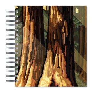 ECOeverywhere Sequoia Trees Picture Photo Album, 18 Pages, Holds 72 Photos, 7.75 x 8.75 Inches, Multicolored (PA12104) : Wirebound Notebooks : Office Products