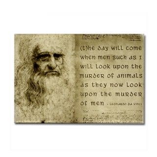 Da Vinci Animal Quote Rectangle Magnet by TheEcoArtist