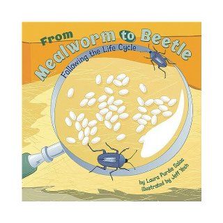From Mealworm to Beetle: Following the Life Cycle (Amazing Science: Life Cycles): Laura Purdie Salas, Shelly Lyons, Jeff Yesh, Melissa Kes, Nathan Gassman, Lori Bye: 9781404849259: Books