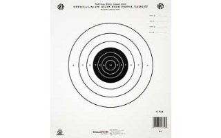 Champion Traps & Targets FBI Q Target 20"X32" Practice Target 100Pk 45750  Hunting Targets And Accessories  Sports & Outdoors