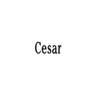 Cesar Laser Name Italian Charm Link: Jewelry