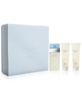 DOLCE&GABBANA Light Blue Fragrance Collection for Women      Beauty