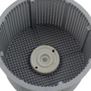 Aladdin B 152 Replacement Skimmer Basket for Hayward SP 1082 : Swimming Pool Skimmers : Patio, Lawn & Garden