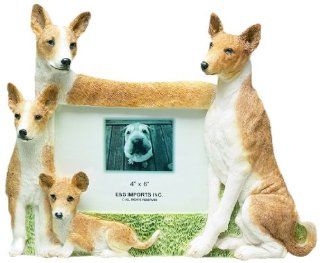 E&S Pets 35257 136 Large Dog Frames : Pet Memorial Products : Pet Supplies