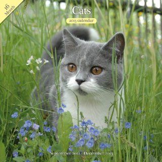 Magnet & Steel Cats Calendar Wall Calendar : Pet Memorial Products : Pet Supplies