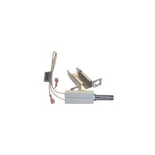 Pentair 471696 Igniter and Bracket Replacement MiniMax NT LN Pool/Spa Heater : Outdoor Spas : Patio, Lawn & Garden