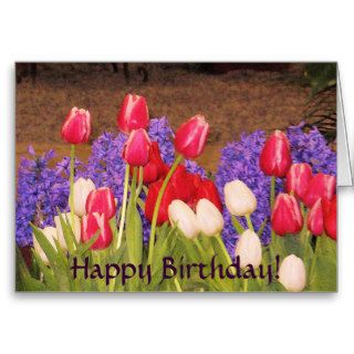 Happy Birthday Tulips card