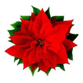 Christmas Greeting Card Poinsettia: Health & Personal Care