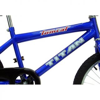 Titan Tomcat Boy's 20" Wheel BMX Bike