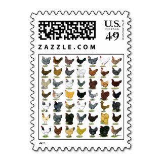 49 Chicken Hens Stamp