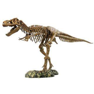 Elenco Science Tech T Rex Skeleton 36" Scale Replica Model: Toys & Games