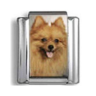 Pomeranian Dog Photo Italian Charm: Jewelry