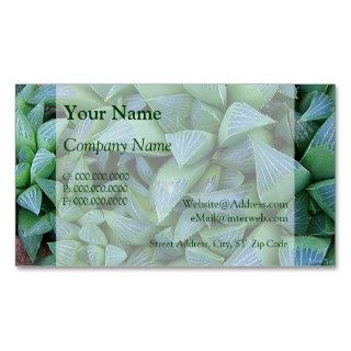 Haworthia Succulent Plant Business Cards