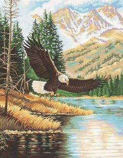 Paint By Number 11 Inch X14 Inch  Eagle In Wilderness   Childrens Paint By Number Kits
