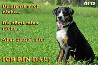 Metall   Warnschild Appenzeller Sennenhund: Garten