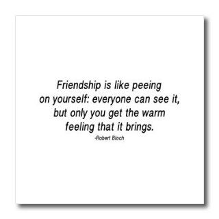 ht_173285_2 ToryAnne Collections Quotes   Friendship is like peeing on yourself   Iron on Heat Transfers   6x6 Iron on Heat Transfer for White Material: Patio, Lawn & Garden