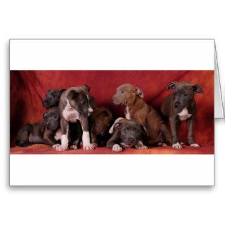 Pitbull puppy heaven cards