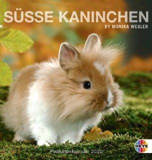 Se Kaninchen 2010. Postkartenkalender: Monika Wegler: Bücher