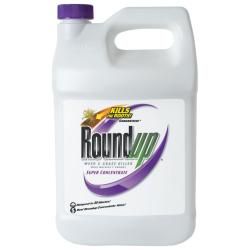 Roundup Weed   Grass Killer 50 percent Super Concentrated