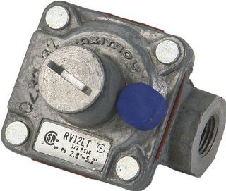 Pentair 470771 Natural Gas Pilot Regulator Replacement Commercial Pool and Spa Heater : Outdoor Spas : Patio, Lawn & Garden