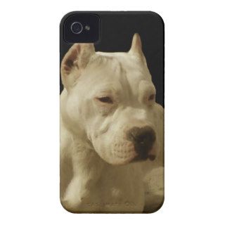 White Pitbull dog iPhone 4 Case