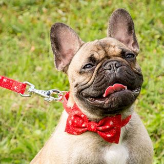 snowflake bow tie dog collar by mrs bow tie