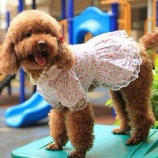 Dog Fashion Dress Skirt for Pet's Style Clothing Polka Dot Hearts Design Size S : Pet Supplies