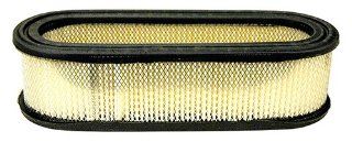 Replacement Air Filter For Briggs & Stratton 394019S, 394019, 398825; Includes Pre Filter 272490S : Lawn Mower Air Filters : Patio, Lawn & Garden