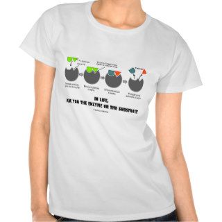 In Life, Are You The Enzyme Or The Substrate? Shirt