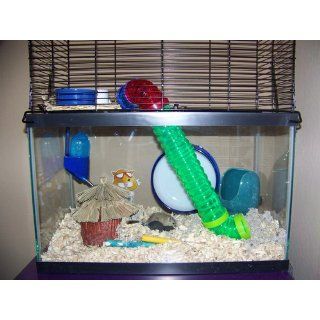 Chew Proof Sm An High Rise : Pet Cages : Pet Supplies