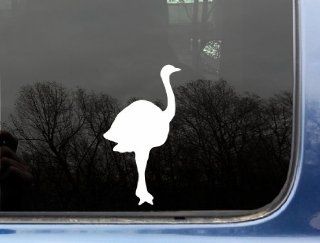 Chive Ostrich   3 1/2" x 6 3/8"   funny chive die cut vinyl sticker / decal for window, truck, car, laptop or ipad (NOT PRINTED) KCCO 