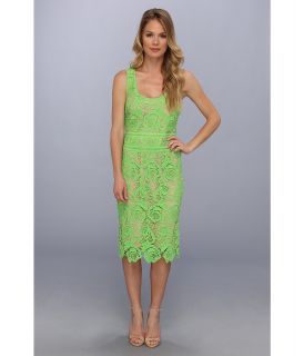 Nicole Miller Venice Lace Dress Womens Dress (Green)
