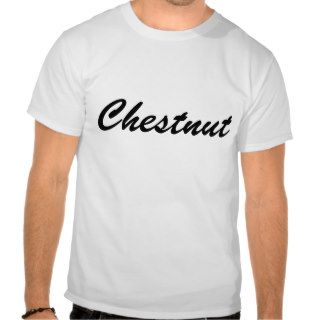 Kenny Chesney Tee Shirt